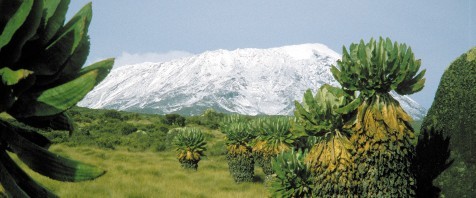 Tansania – Kilimanjaro Machame-Route