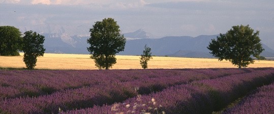 Provence - Visuelles Konzert