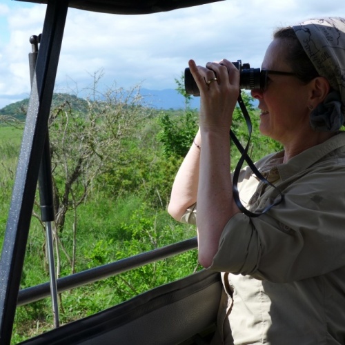 Pirschfahrt und African View Lodge