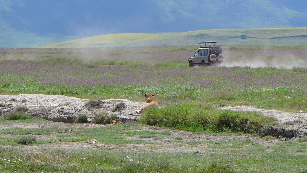Ngorongoro Krater und Serengeti