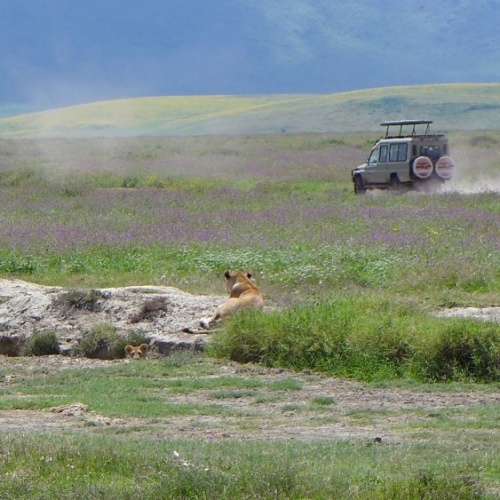 Ngorongoro Krater und Serengeti