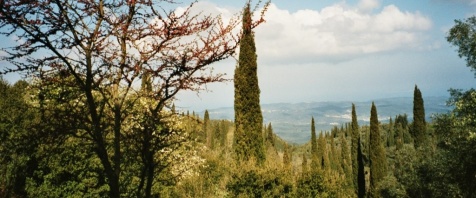 Samos - grünes Herz der Ägäis