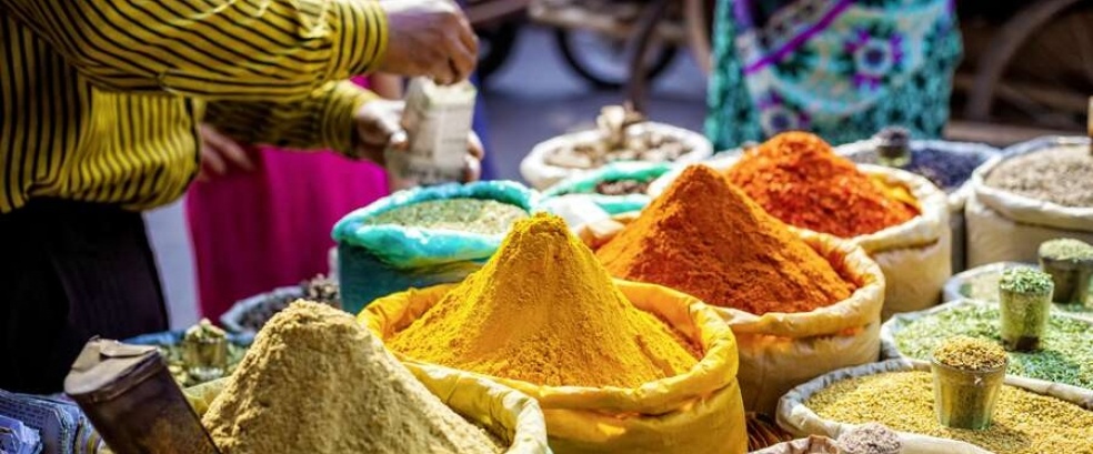 Rajasthan