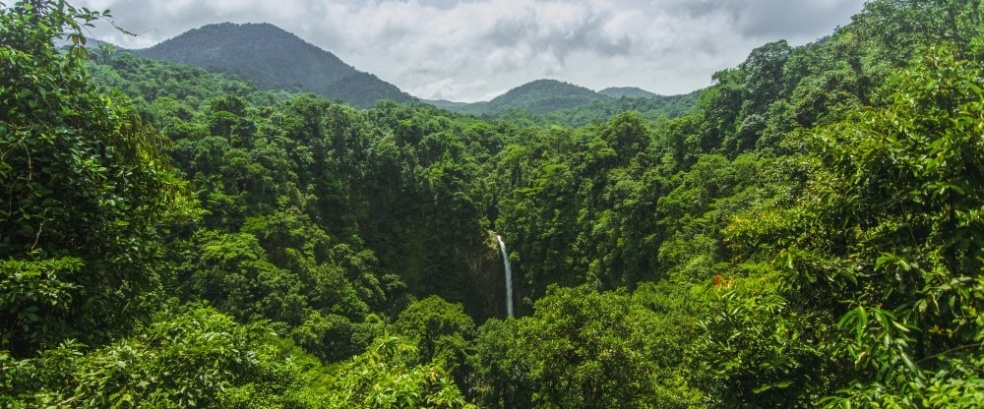 Costa Rica – Auf nachhaltigen Pfaden durch die Tropen