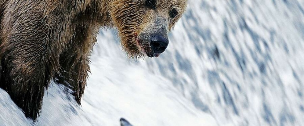 Yukon &ndash; Alaska