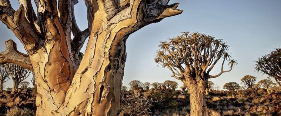 Namibia