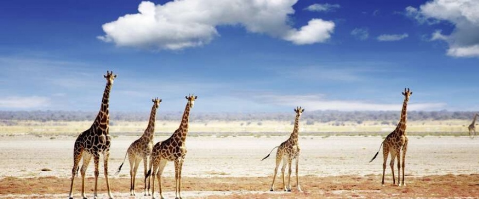 Namibia