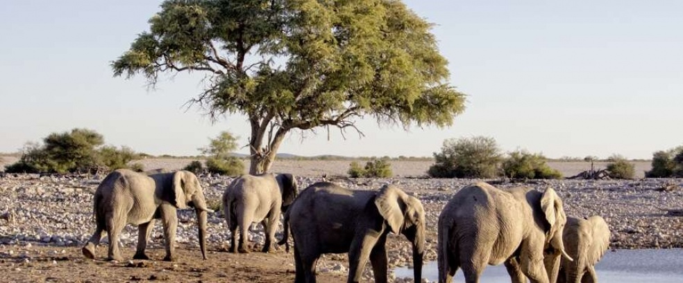 Namibia