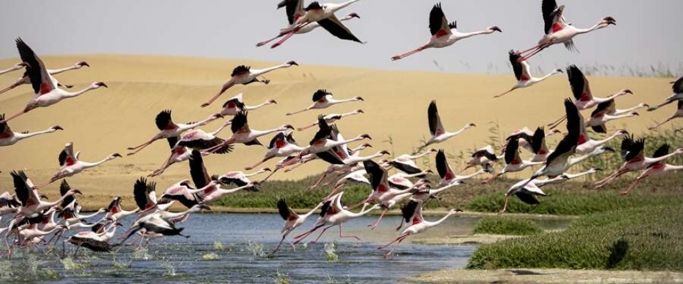 Namibia – Botswana – Simbabwe