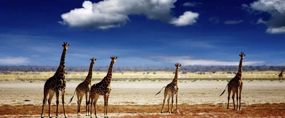 Namibia