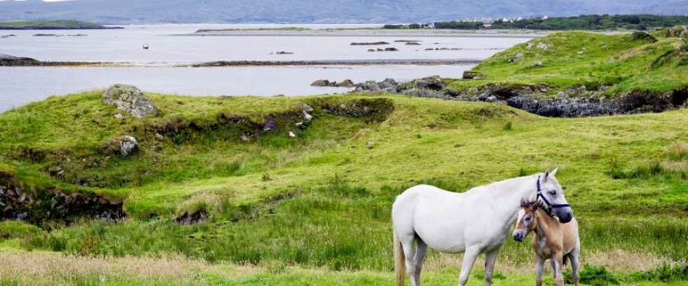 Irland