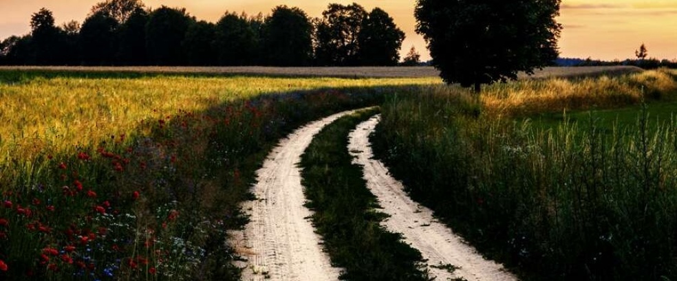 Polen