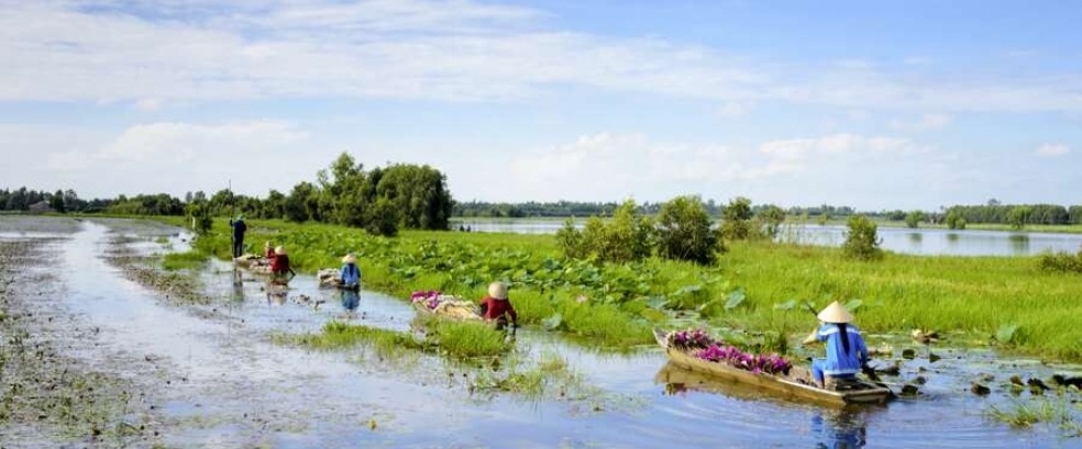 Vietnam
