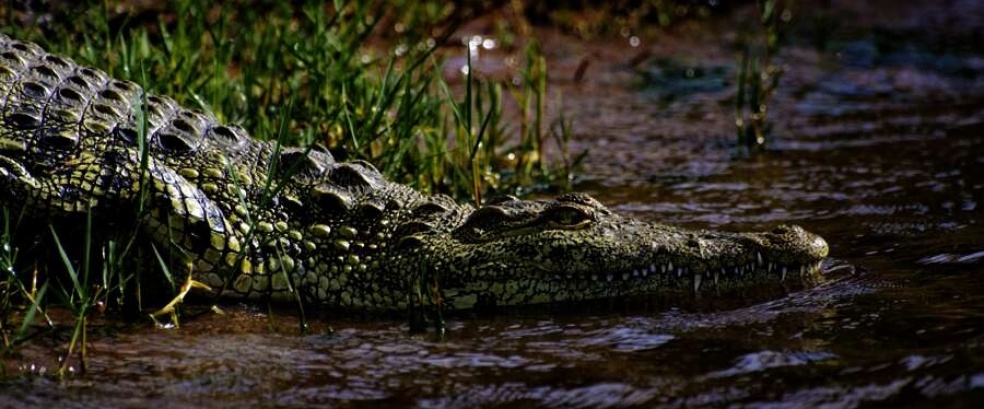 Botswana – Caprivi