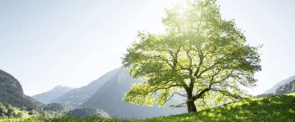 Schweiz &ndash; Bernina und Glacier Express