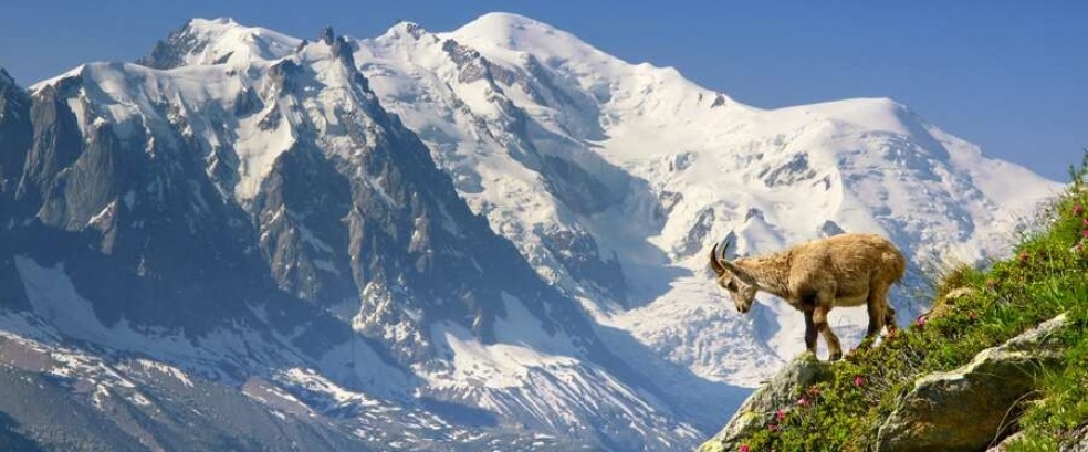 Savoyen, Genfer See und Wallis