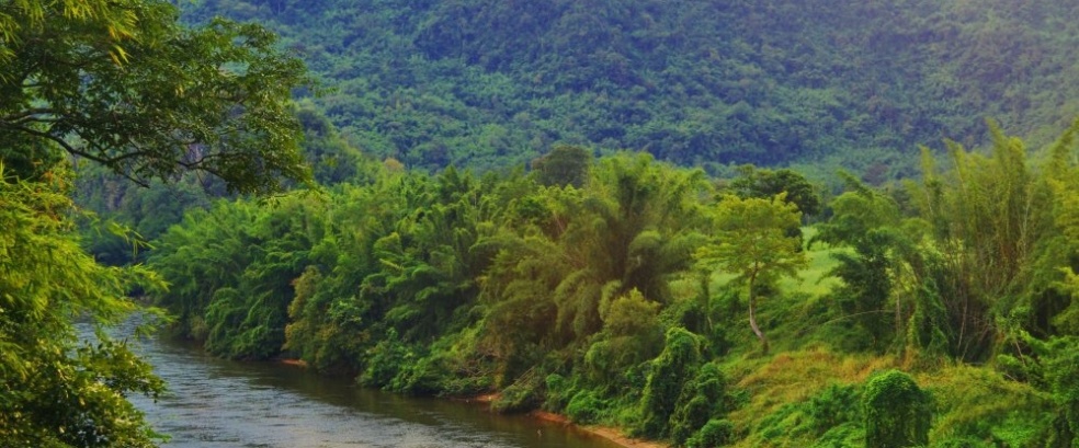 Thailand - Vielfalt des tropischen Königreichs