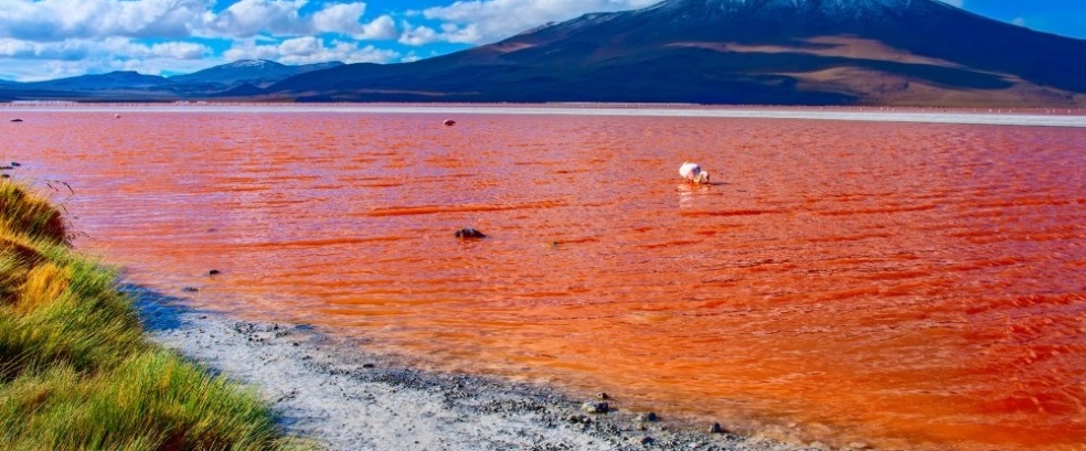 Chile, Bolivien, Peru: Zwischen Inka-Sch&auml;tzen und Salzw&uuml;sten