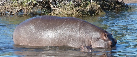 Ursprüngliches Botswana