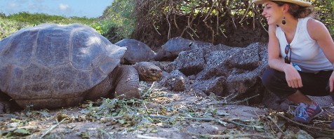 Galápagos Inseln – Zwei Wochen-Törn