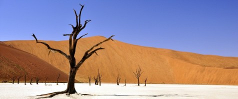 Namibia - Wo die Natur unendlich ist