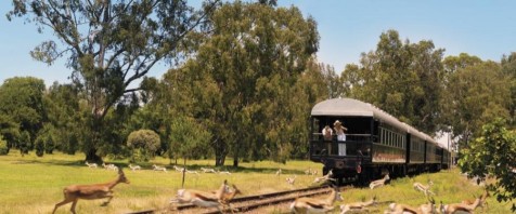 Mit Rovos Rail durch Afrika