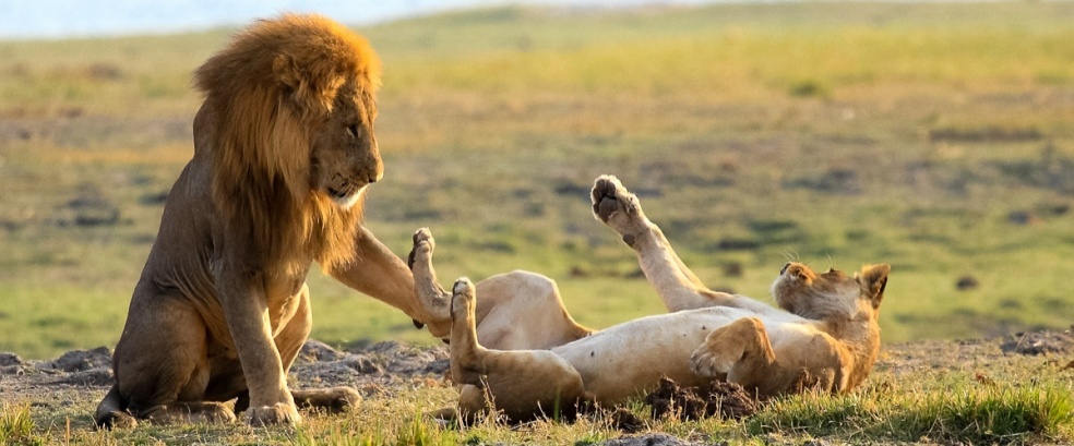 Reiseporträt Botswana & Simbabwe mit Chamäleon Reisen
