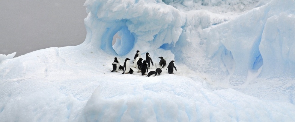FESTIVAL-Antarktis