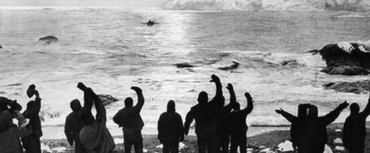 Wild - der letzte Trip auf Erden