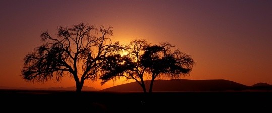 Afrika