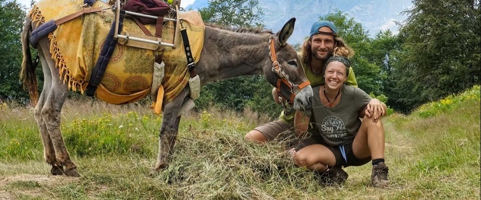  Drei Esel in Albanien