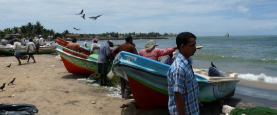 Nach Sri Lanka mit Studiosus