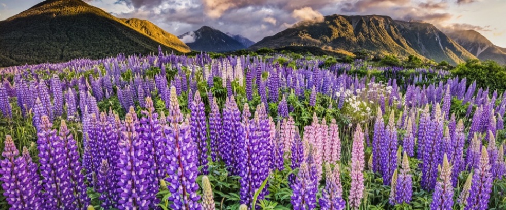 Neuseeland