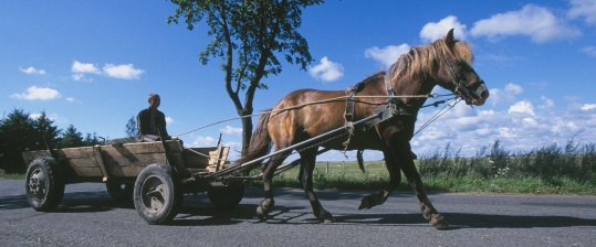 Das Baltikum entdecken