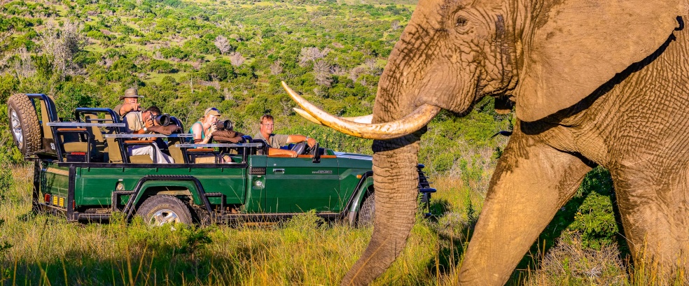 Südliches Afrika mit Chamäleon Reisen - NEUER TERMIN