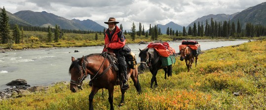 Wildes Kanada & Alaska